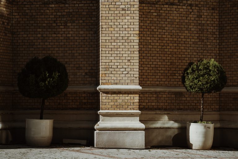 Novi Sad Katedrala Crkva imena Marijinog detalj Trg slobode