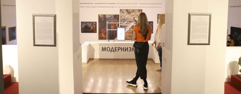 Galerija Matice srpske volonter