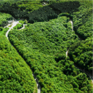 Foto sekcija Novi Sad